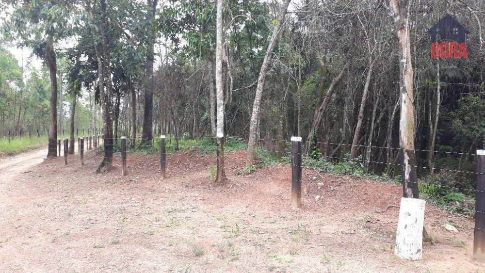 Terreno, 50 hectares - Foto 12
