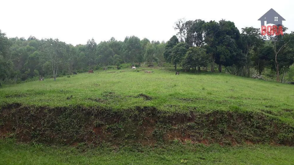 Terreno, 50 hectares - Foto 9