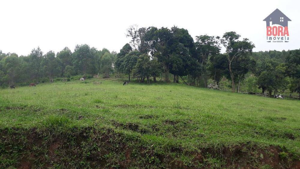 Terreno, 50 hectares - Foto 6