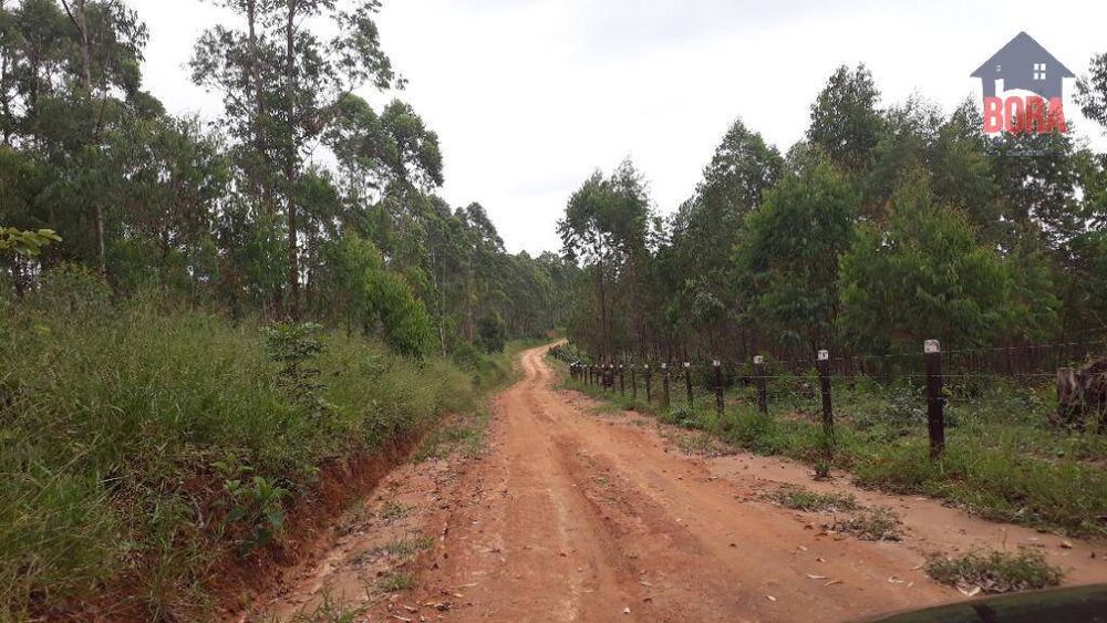 Terreno, 50 hectares - Foto 2