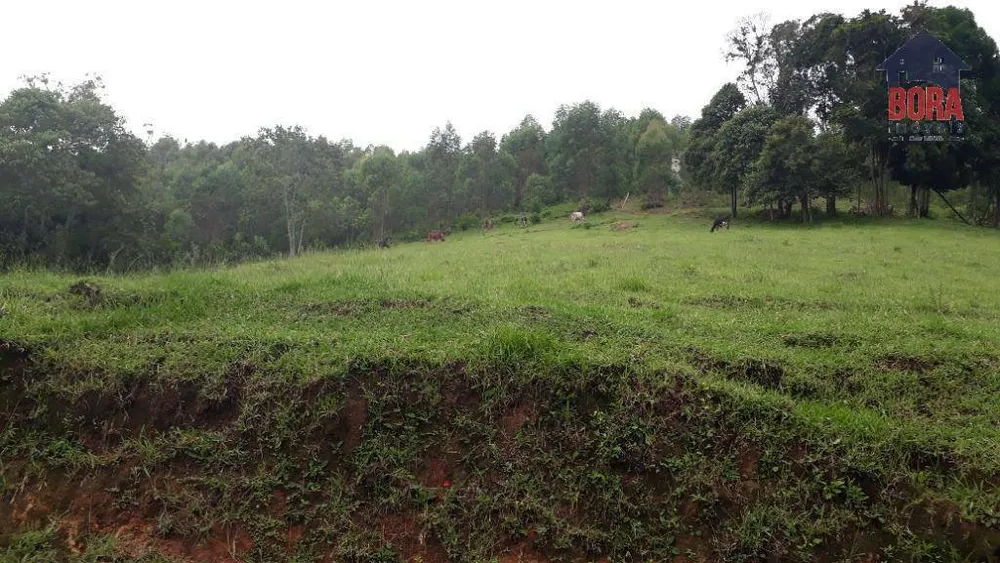 Terreno, 50 hectares - Foto 11