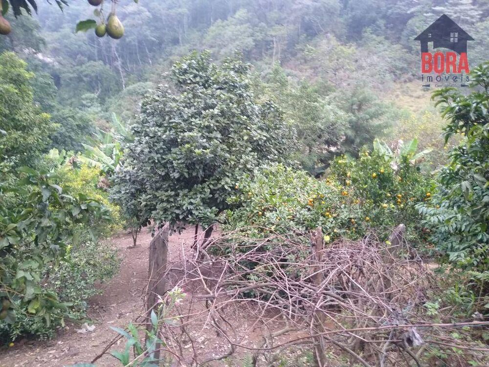 Chácara, 1 quarto, 10000 m² - Foto 14