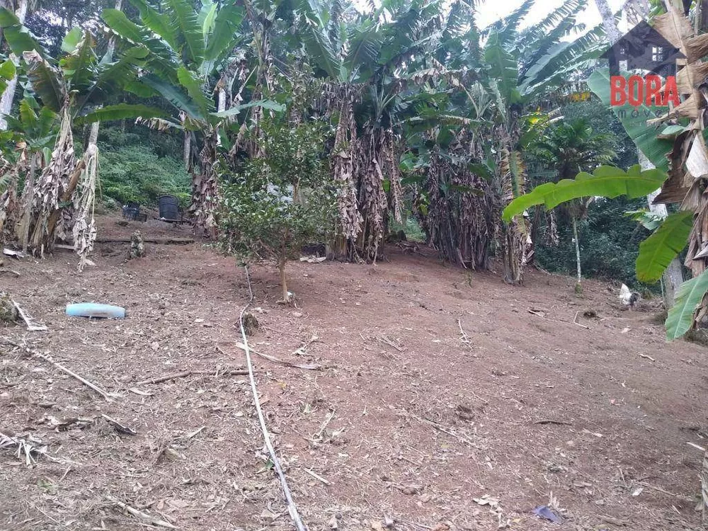 Chácara, 1 quarto, 10000 m² - Foto 6