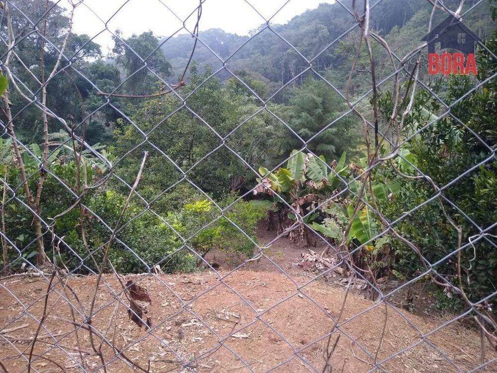 Chácara, 1 quarto, 10000 m² - Foto 16