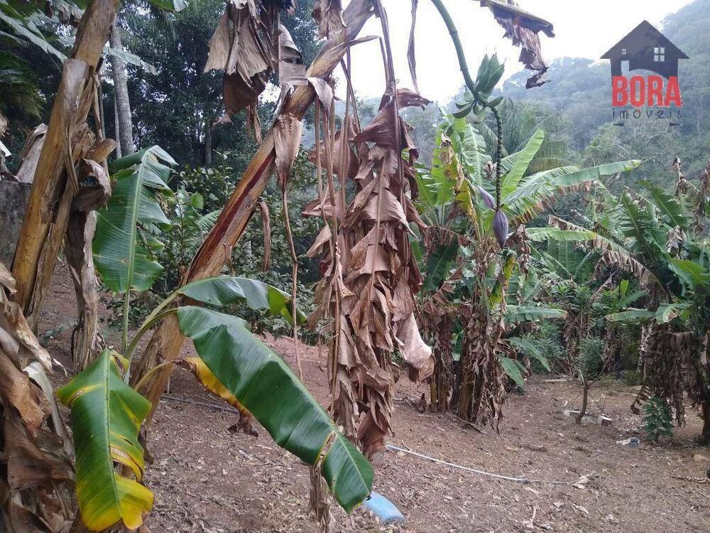 Chácara à venda com 1 quarto, 65m² - Foto 12