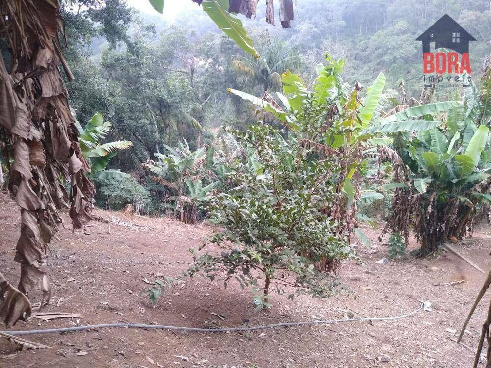 Chácara, 1 quarto, 10000 m² - Foto 20