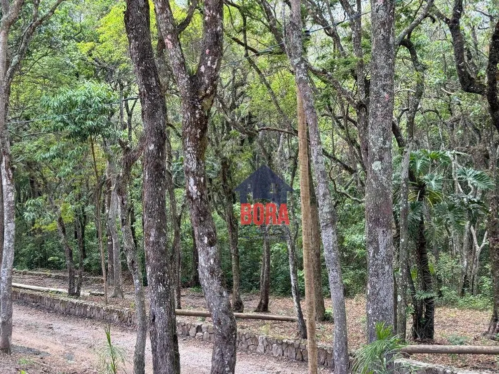 Chácara, 15 quartos, 3 hectares - Foto 7