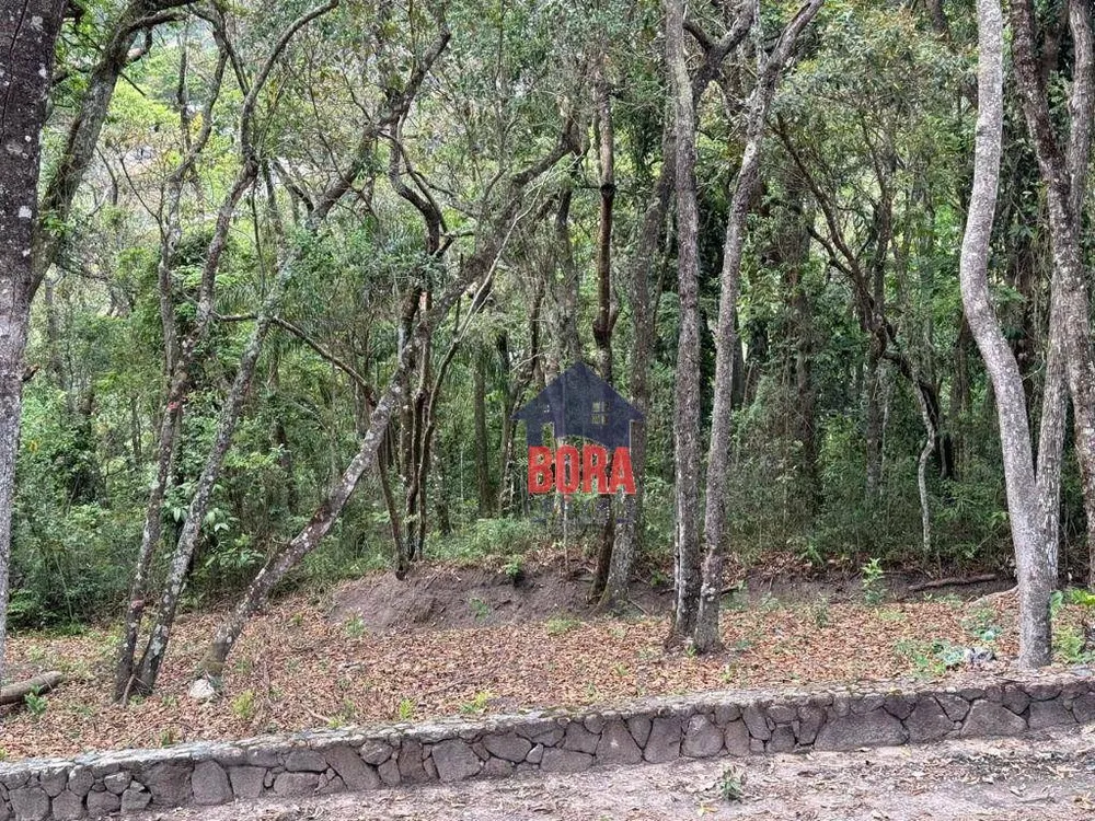 Chácara, 15 quartos, 3 hectares - Foto 6