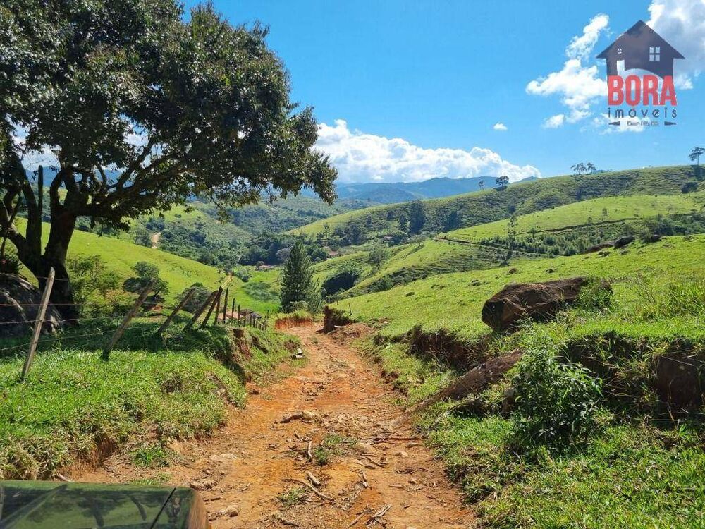Fazenda à venda com 2 quartos, 1113200M2 - Foto 6