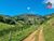 Fazenda, 111 hectares - Foto 8
