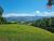 Fazenda, 111 hectares - Foto 4