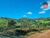 Fazenda, 111 hectares - Foto 2