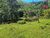 Fazenda, 111 hectares - Foto 3