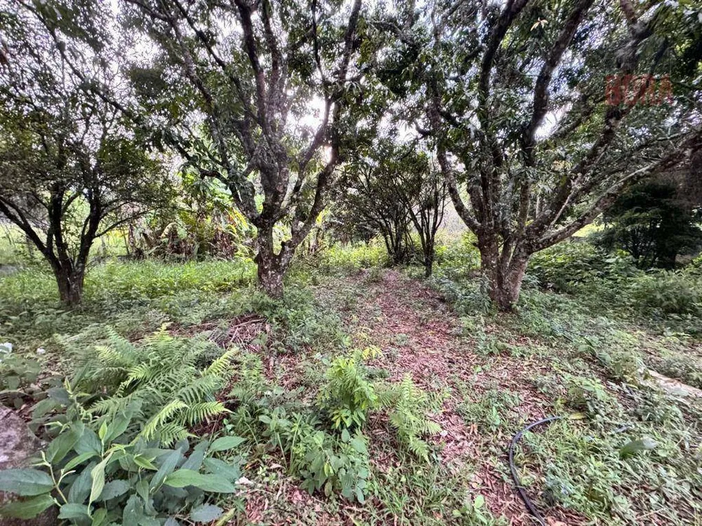 Terreno, 930 m² - Foto 7