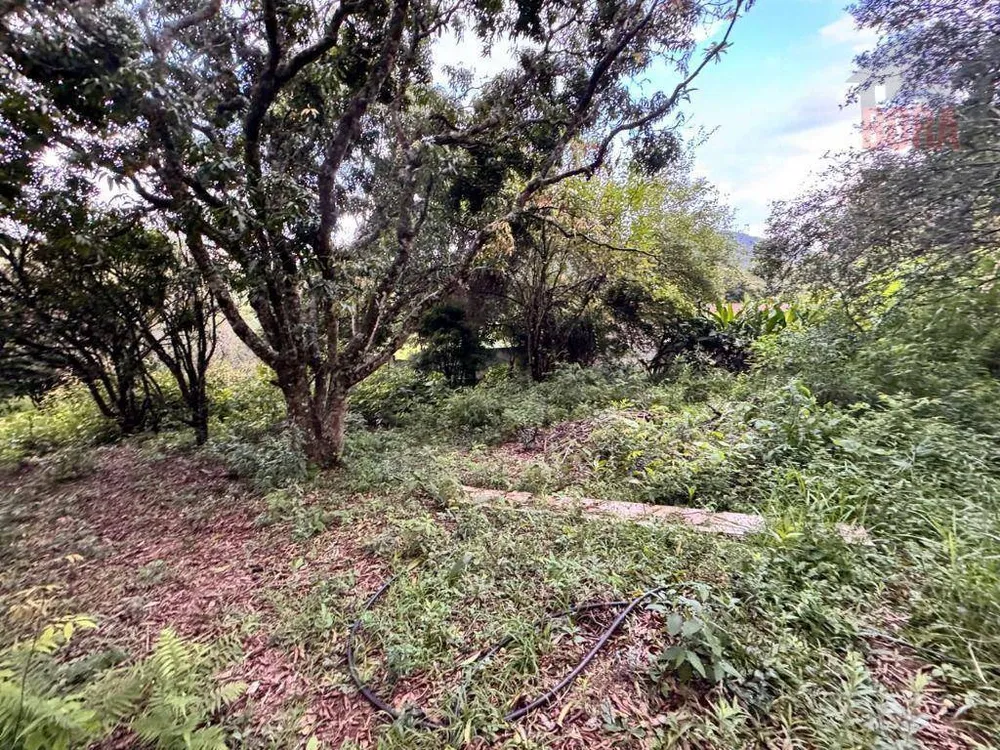 Terreno, 930 m² - Foto 8