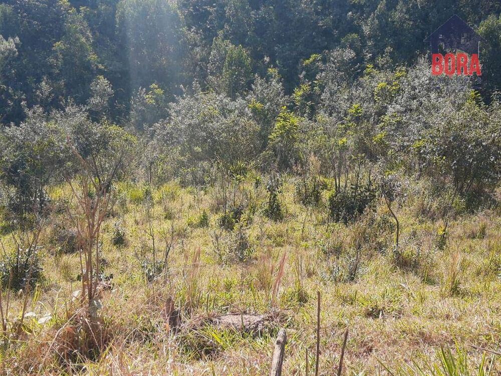 Terreno, 500 m² - Foto 1