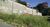 Terreno, 347 m² - Foto 1
