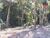 Terreno, 900 m² - Foto 4