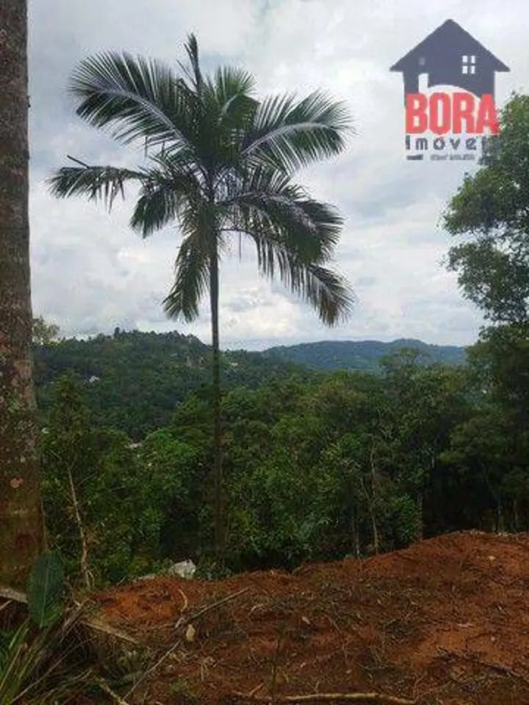 Terreno, 1000 m² - Foto 2