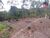 Terreno, 665 m² - Foto 3