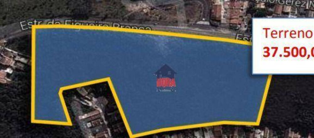 Terreno, 4 hectares - Foto 1
