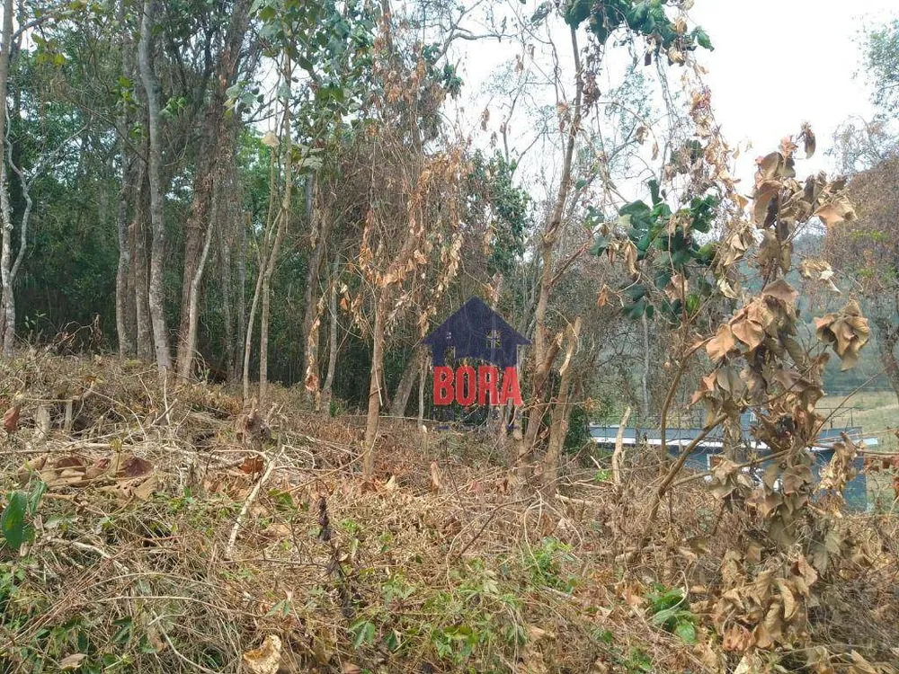 Terreno, 1000 m² - Foto 3