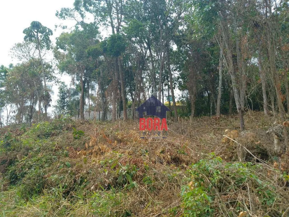 Terreno, 1000 m² - Foto 2