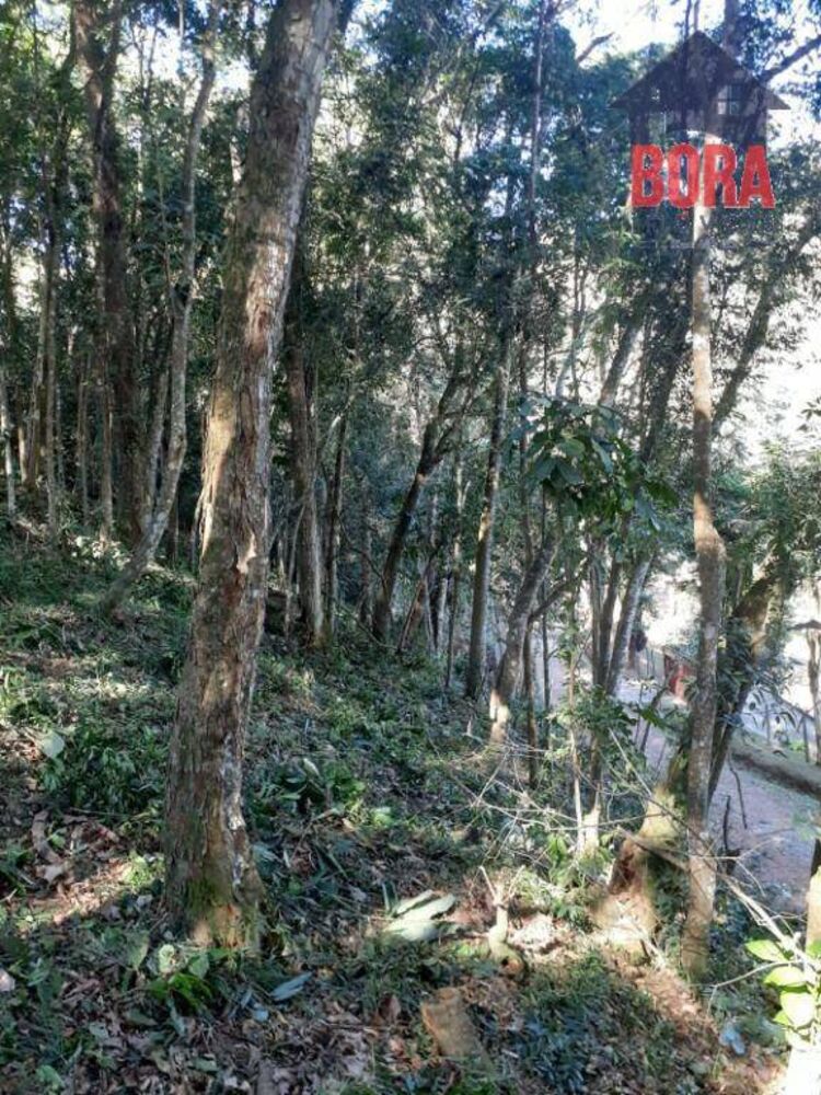Terreno, 1000 m² - Foto 4