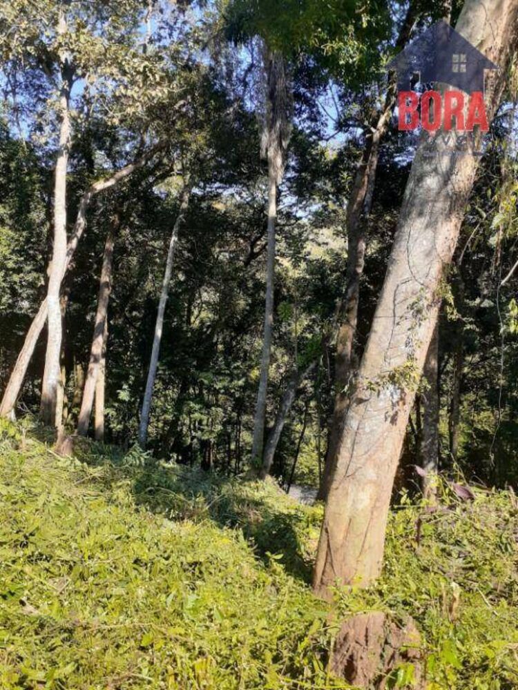 Terreno, 1000 m² - Foto 3