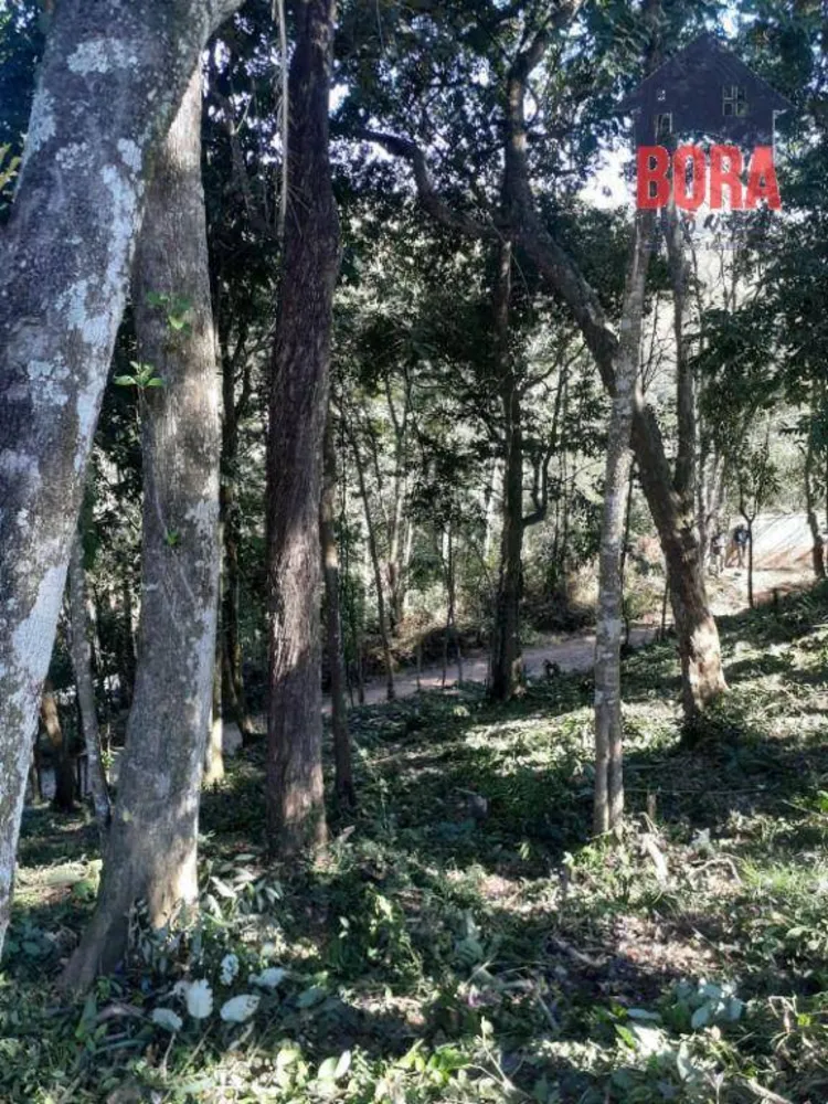 Terreno, 1000 m² - Foto 9