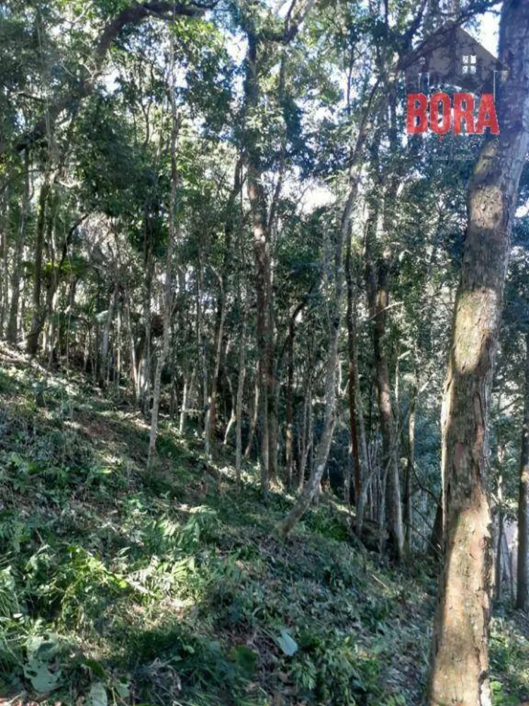 Terreno, 1000 m² - Foto 15