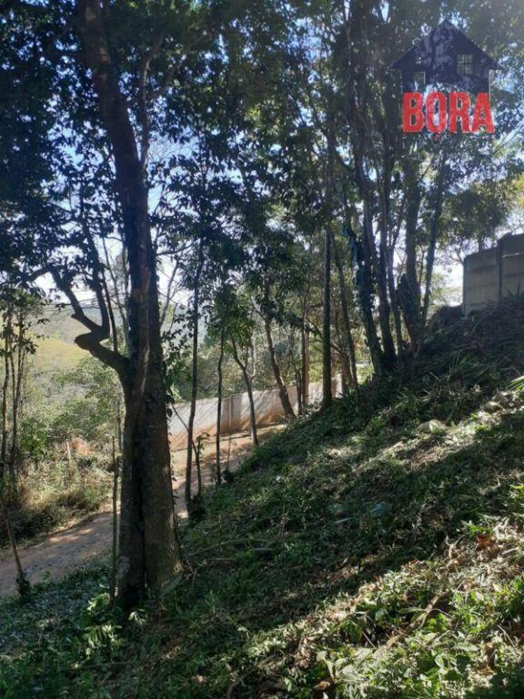 Terreno, 1000 m² - Foto 1