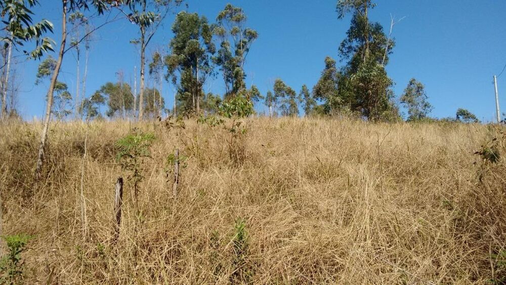 Terreno, 950 m² - Foto 3