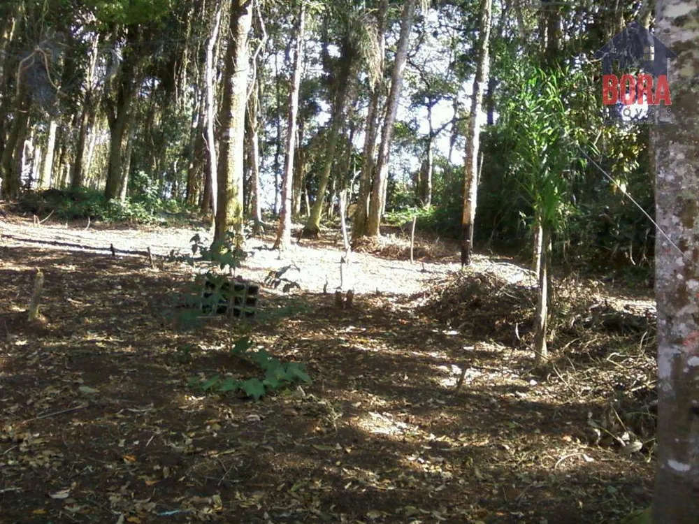 Terreno, 750 m² - Foto 5