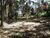 Terreno, 750 m² - Foto 2