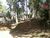 Terreno, 750 m² - Foto 1