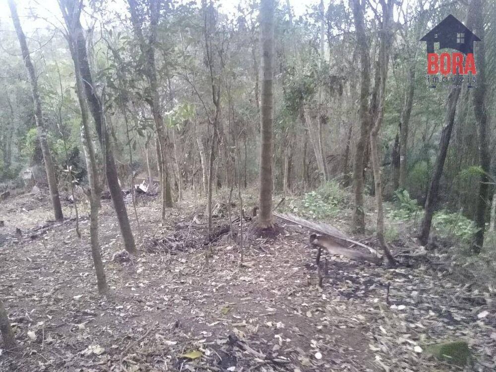 Terreno à venda, 2510M2 - Foto 2