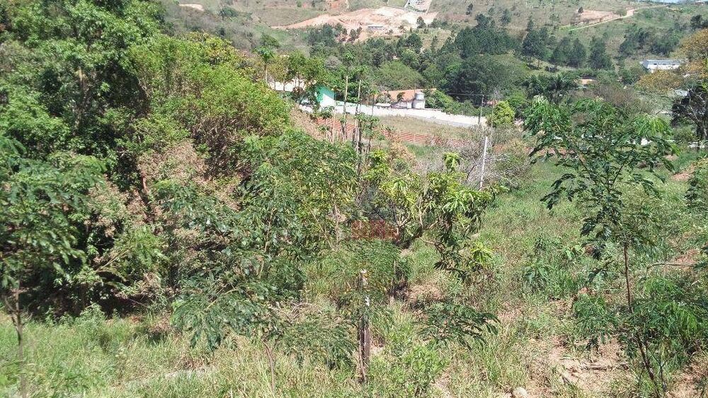 Terreno, 1500 m² - Foto 1