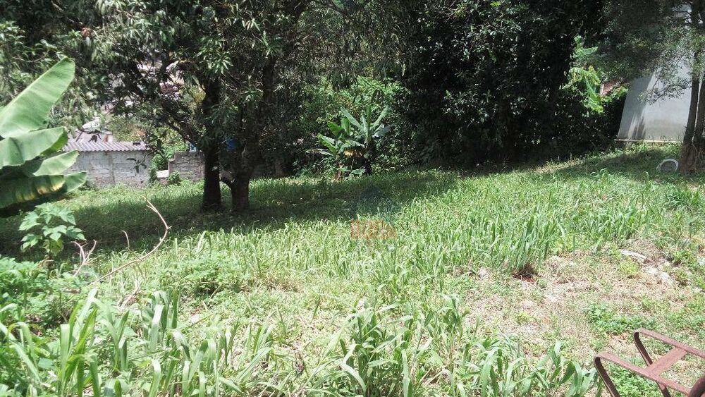 Terreno, 1000 m² - Foto 5