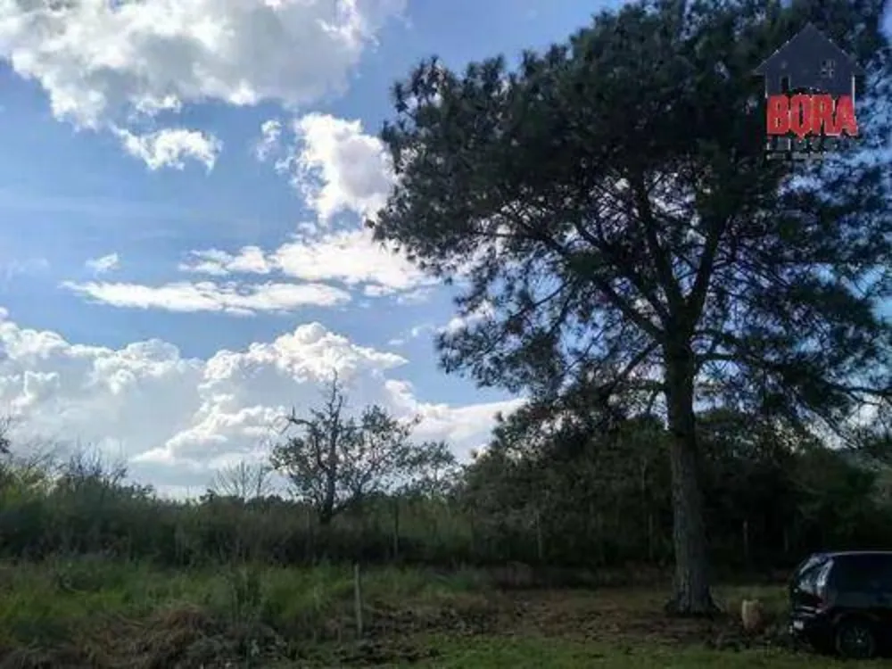 Terreno, 1000 m² - Foto 5
