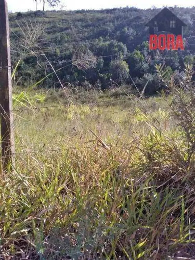 Terreno, 1000 m² - Foto 1