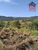Terreno, 1000 m² - Foto 3