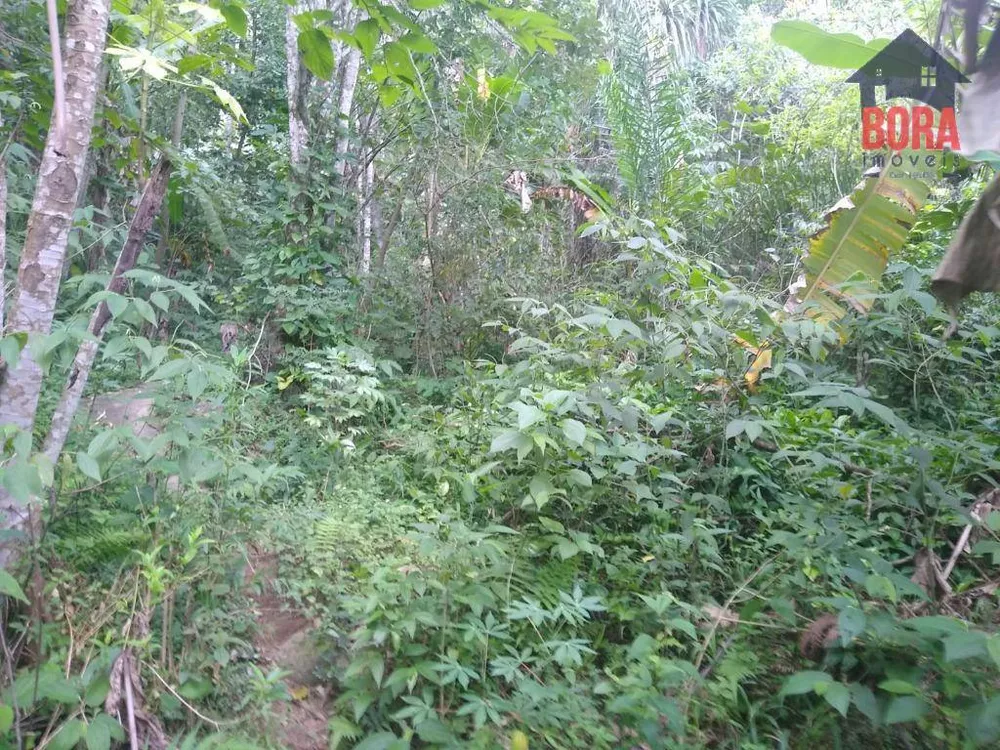 Sítio, 3 quartos, 1 hectares - Foto 18