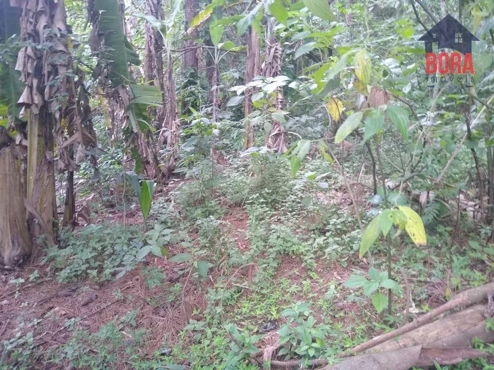 Sítio, 3 quartos, 1 hectares - Foto 16