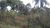 Terreno, 1000 m² - Foto 3