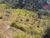 Terreno, 500 m² - Foto 1