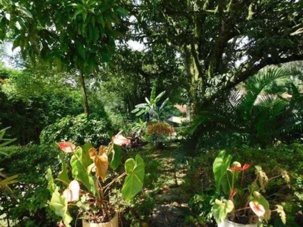 Casa, 2 quartos, 300 m² - Foto 4