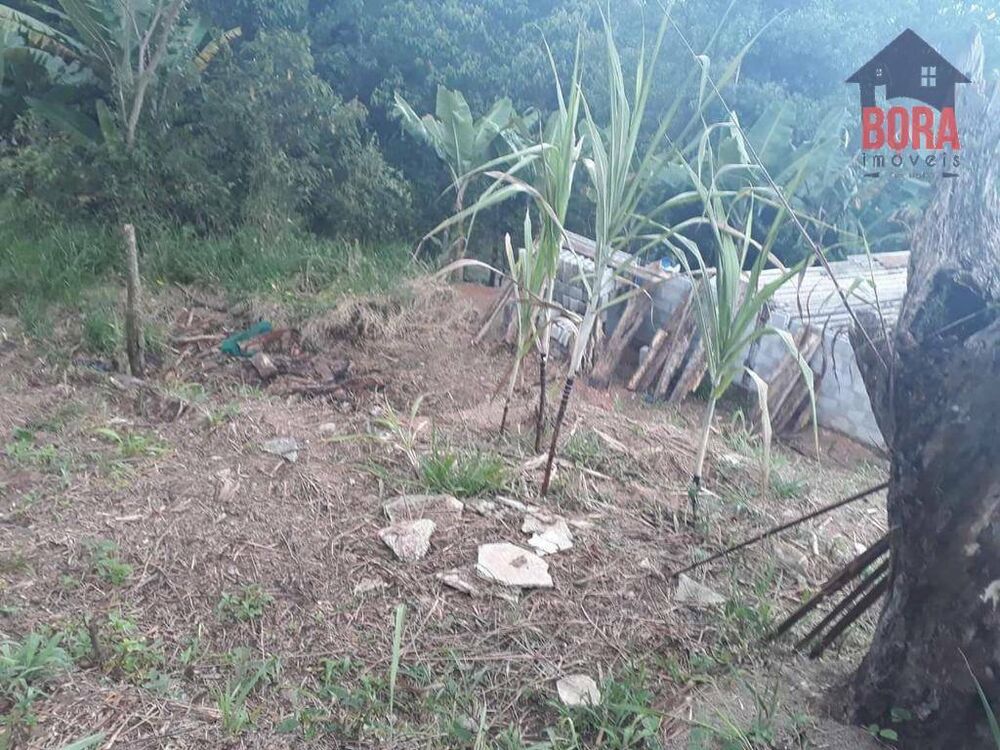 Terreno, 250 m² - Foto 2