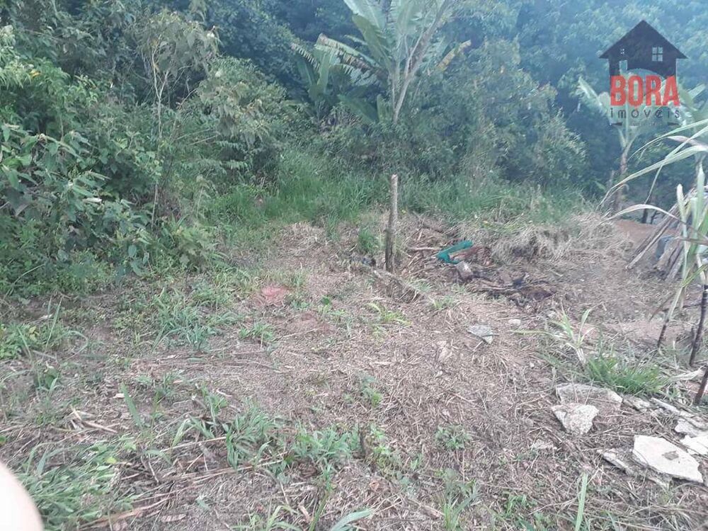 Terreno, 250 m² - Foto 3
