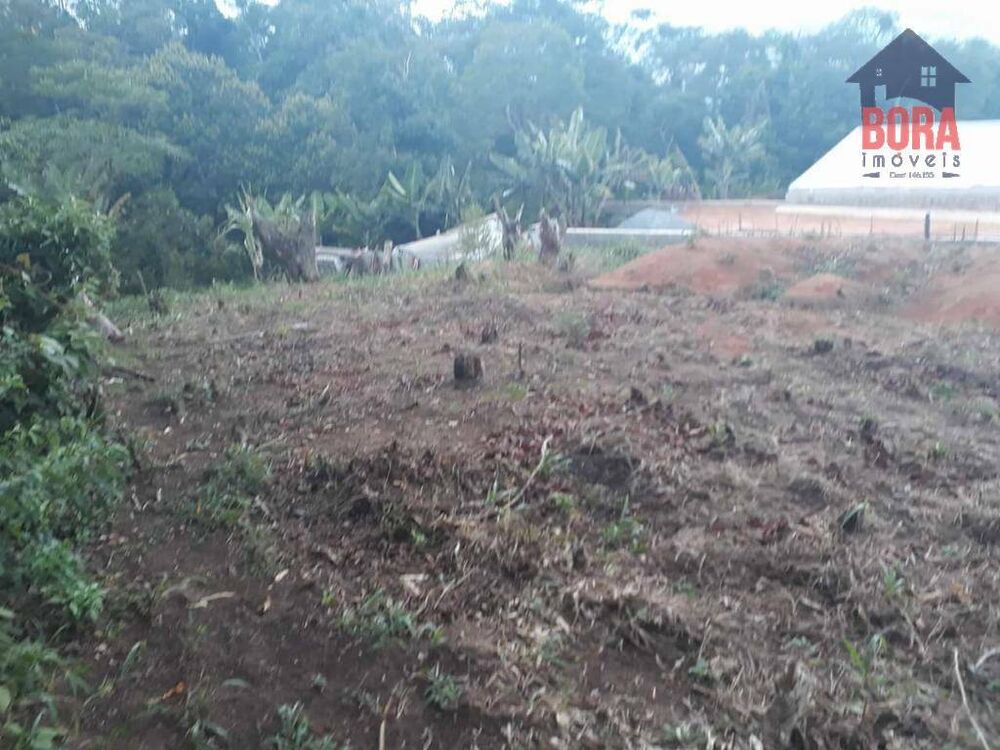 Terreno, 250 m² - Foto 1